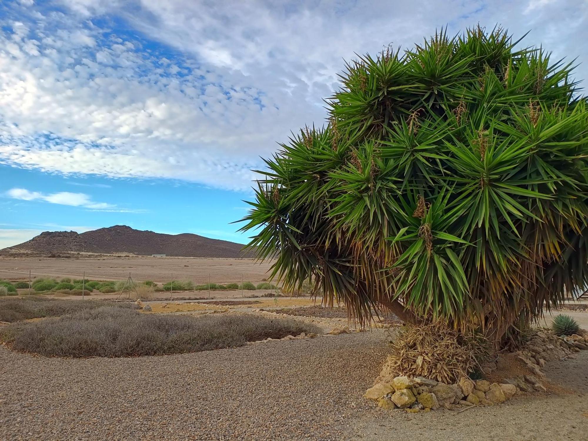 El Oasis Morado Daire Lorca  Dış mekan fotoğraf