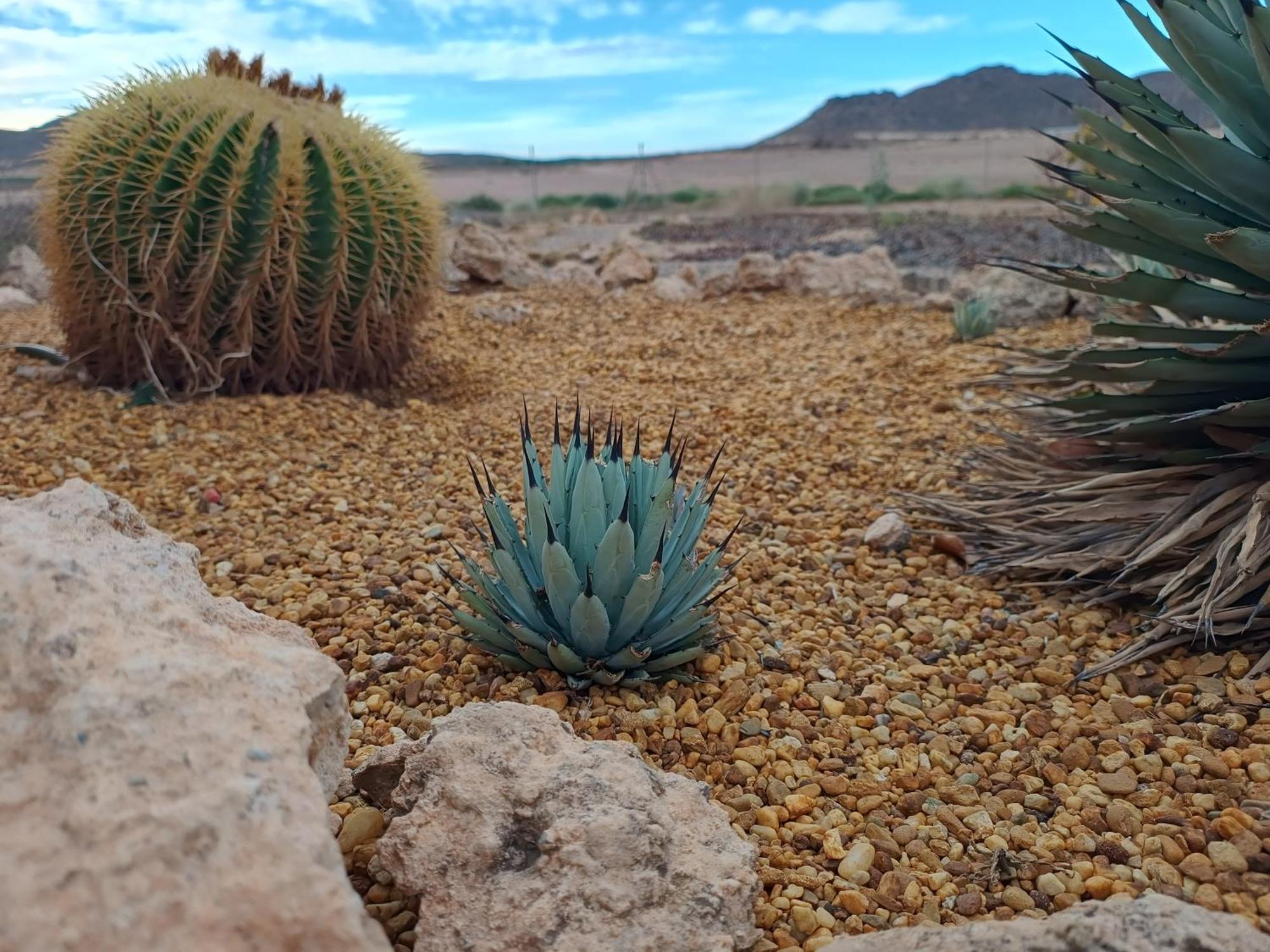 El Oasis Morado Daire Lorca  Dış mekan fotoğraf